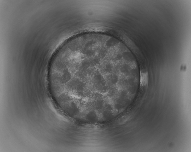 X0000110760627200907131211