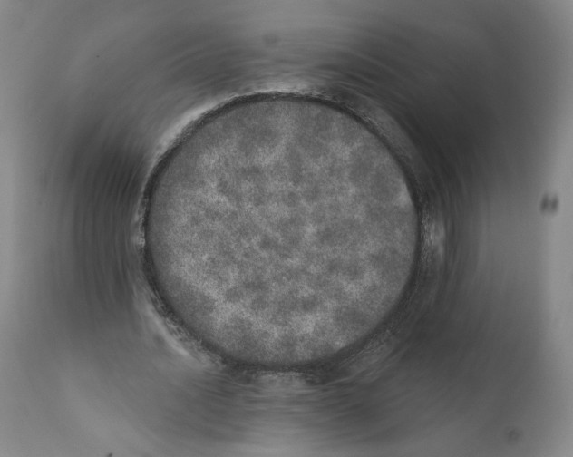 X0000110760628200907131211