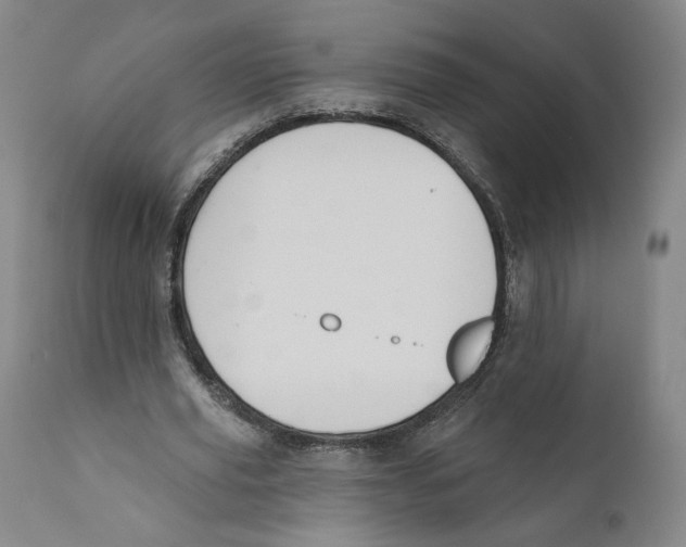 X0000110760629200907131211