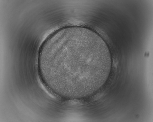 X0000110760630200907131211