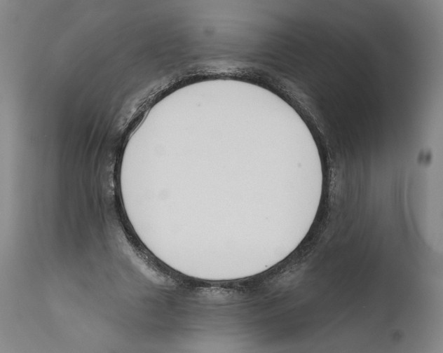 X0000110760633200907131211