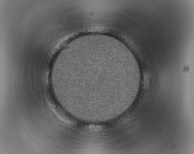 X0000110760636200907131211