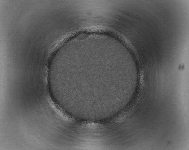 X0000110760637200907131211