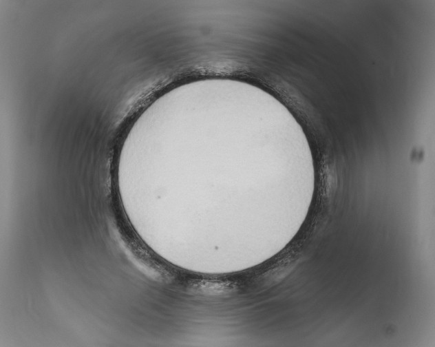 X0000110760638200907131211