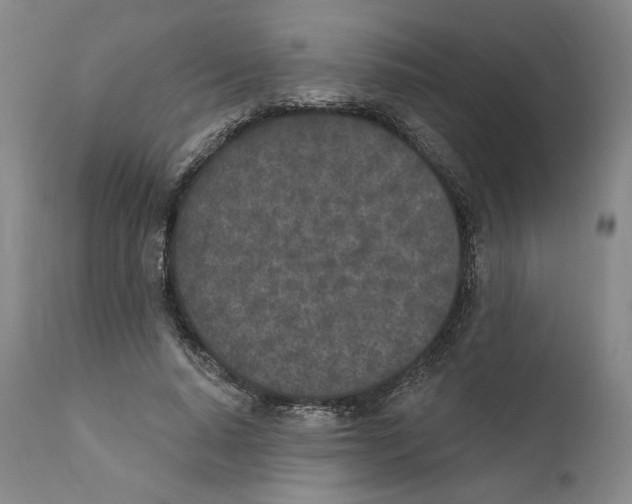 X0000110760640200907131211