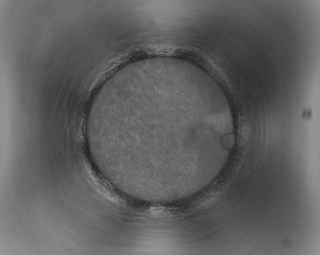 X0000110760641200907131211