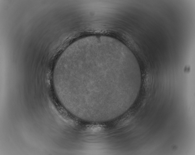 X0000110760643200907131211