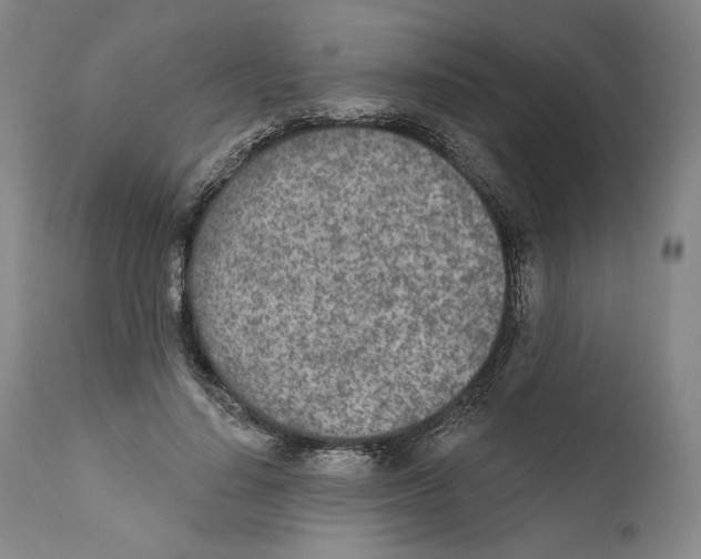 X0000110760644200907131211