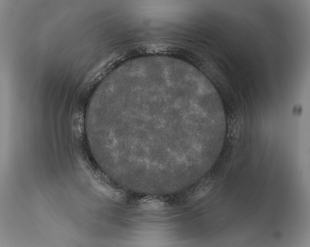 X0000110760648200907131211