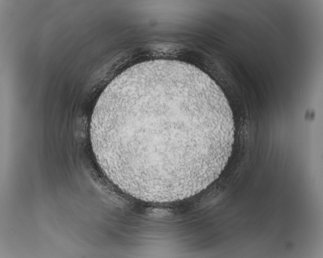 X0000110760649200907131211