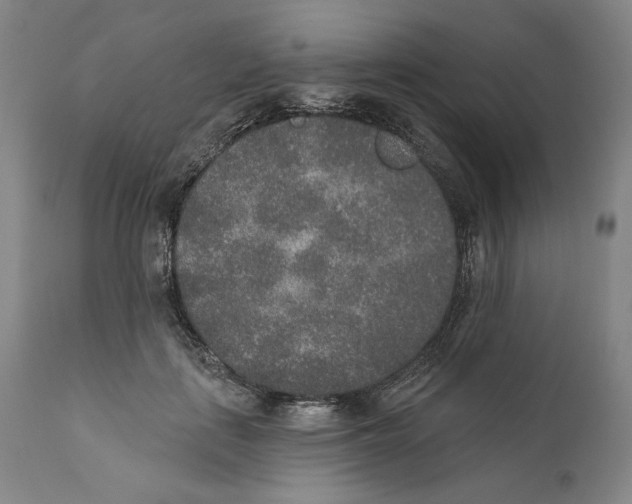 X0000110760651200907131211