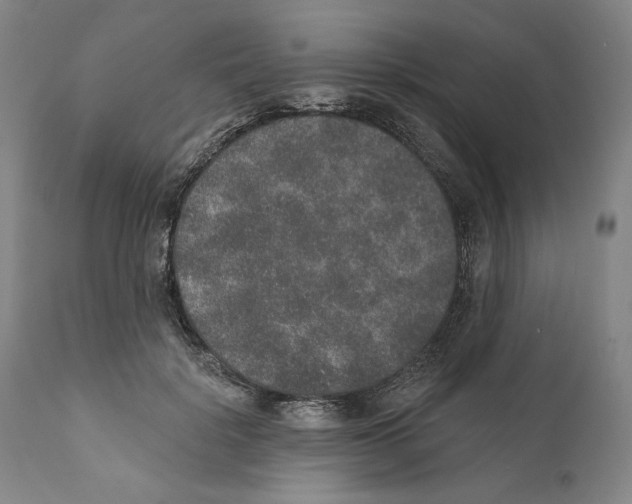 X0000110760652200907131211