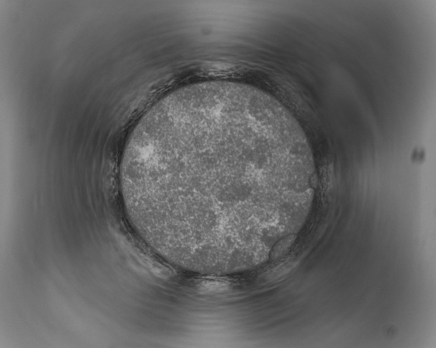 X0000110760653200907131211