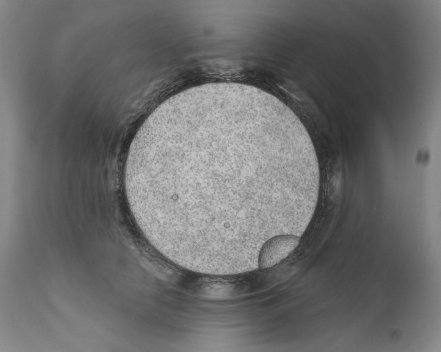 X0000110760658200907131211