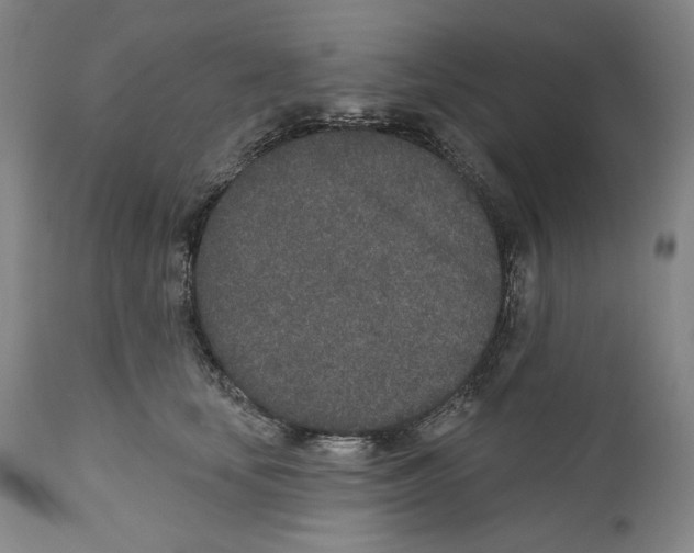 X0000110760659200907131211