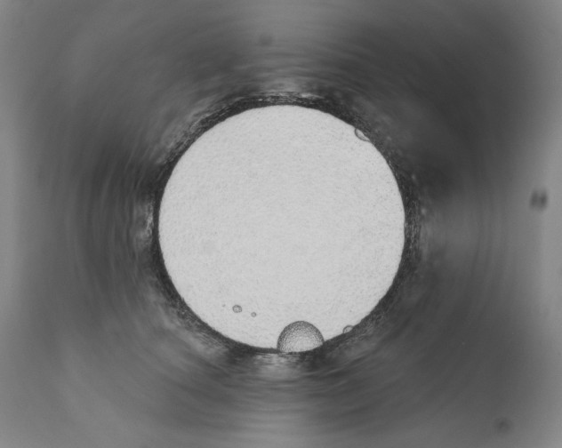 X0000110760660200907131211