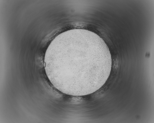 X0000110760666200907131211