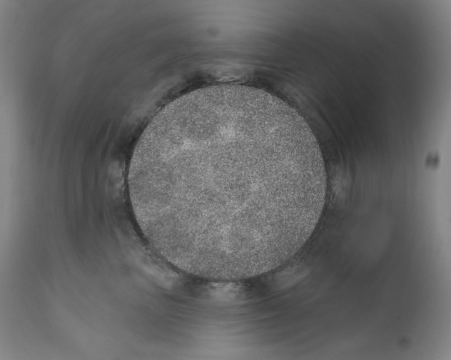 X0000110760667200907131211