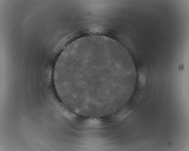 X0000110760668200907131211