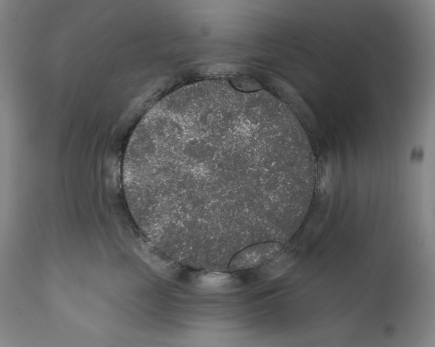 X0000110760669200907131211