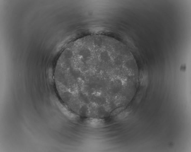 X0000110760670200907131211