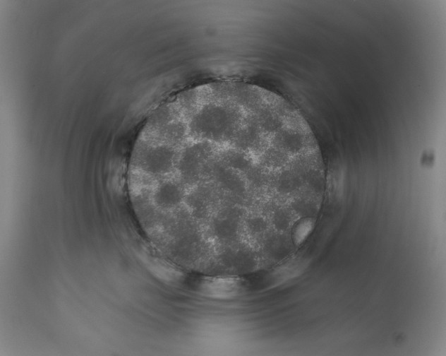 X0000110760671200907131211