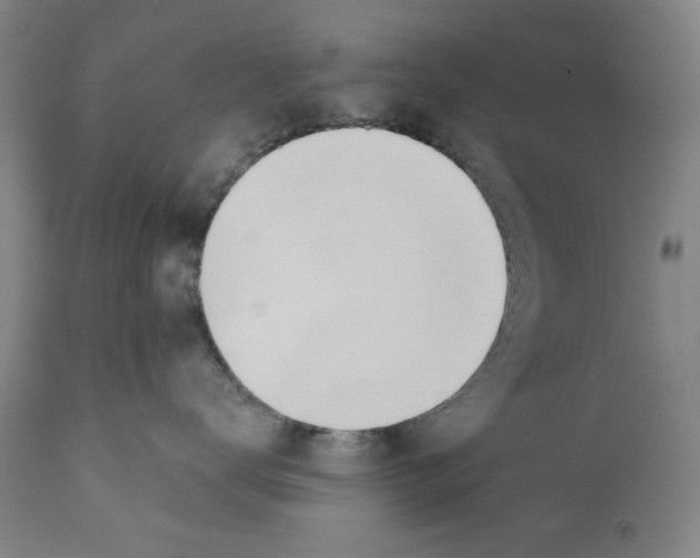 X0000110760672200907131211