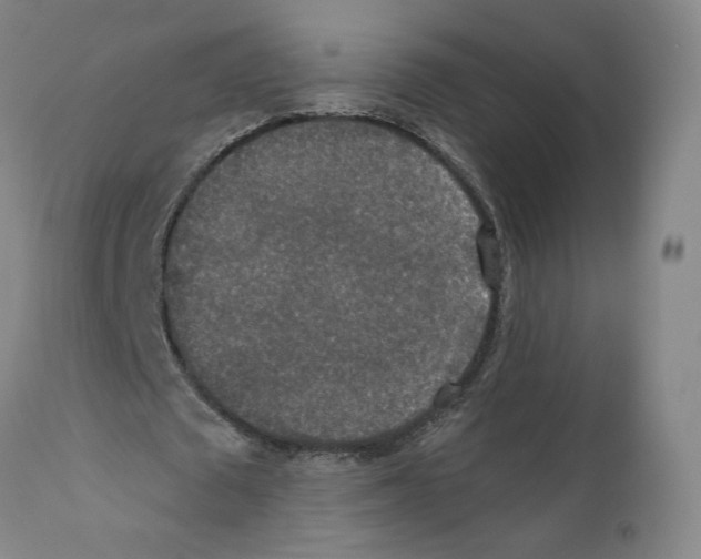 X0000110760673200907131211