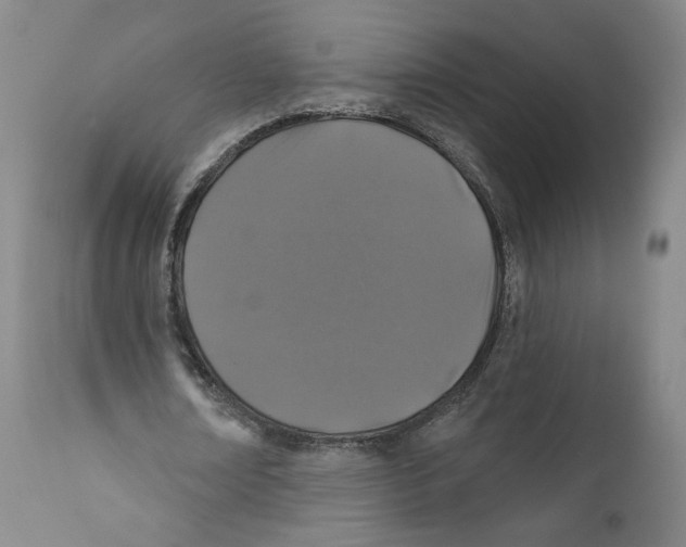 X0000110760674200907131211