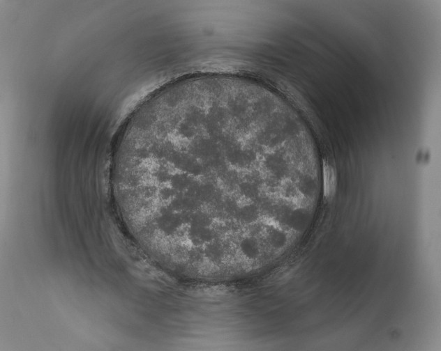 X0000110760675200907131211