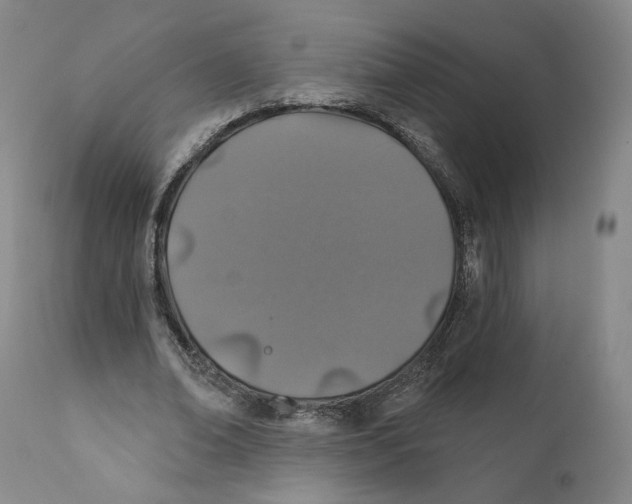 X0000110760678200907131211