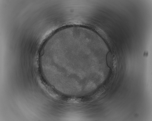 X0000110760680200907131210