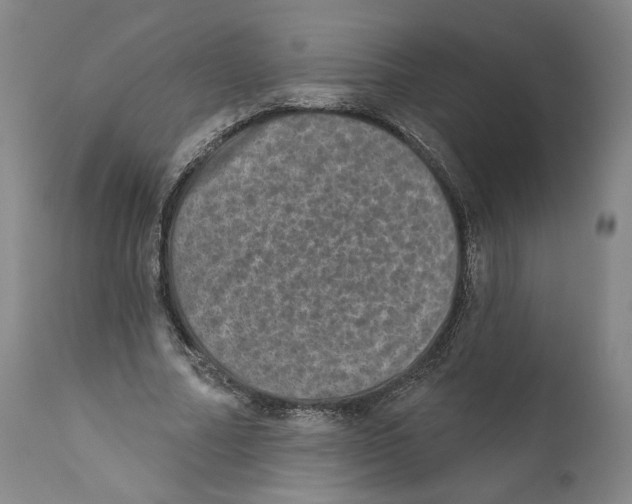 X0000110760682200907131210