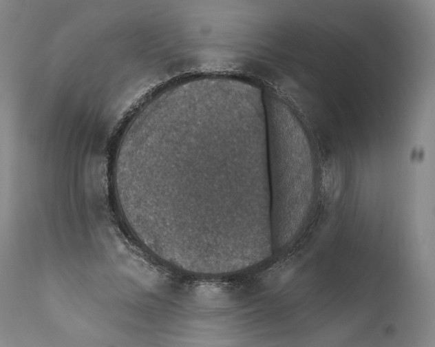 X0000110760684200907131210