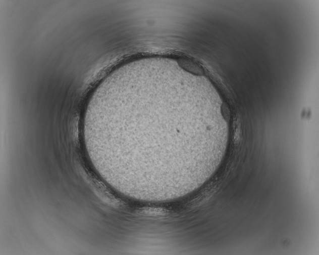 X0000110760685200907131210