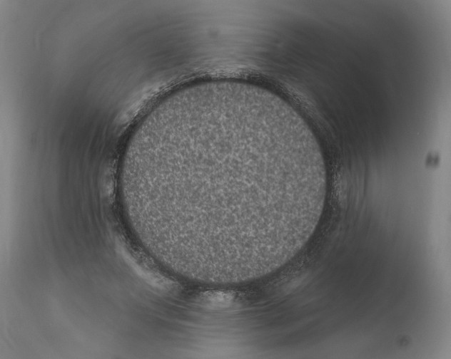 X0000110760687200907131210