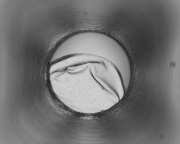 X0000110760688200907131210