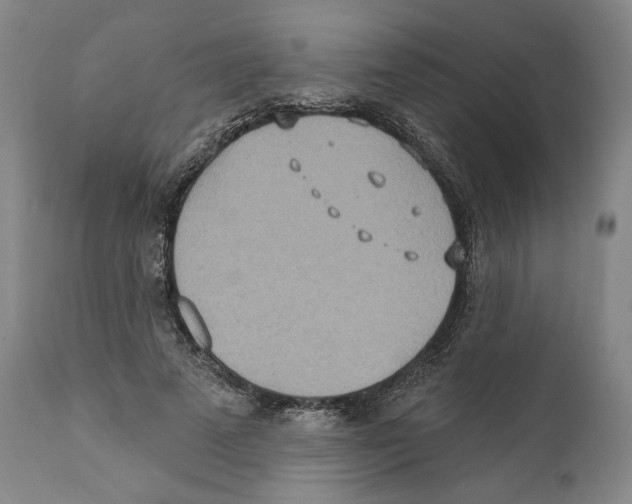 X0000110760689200907131210