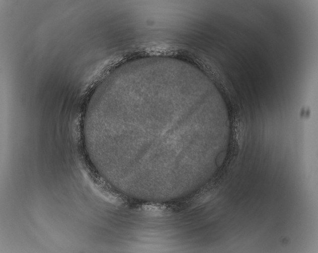 X0000110760690200907131210