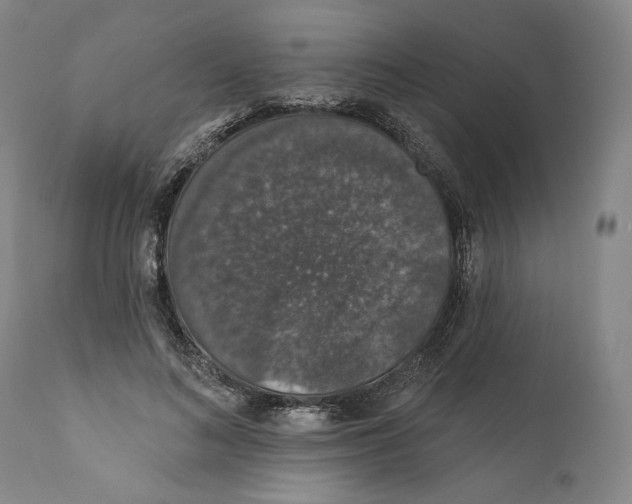 X0000110760692200907131210