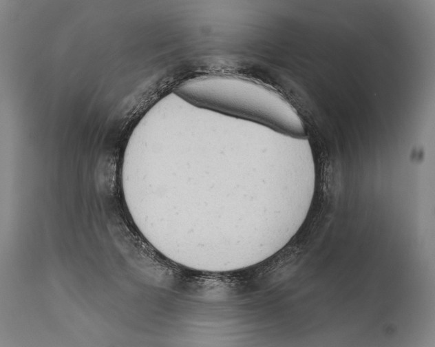 X0000110760697200907131210