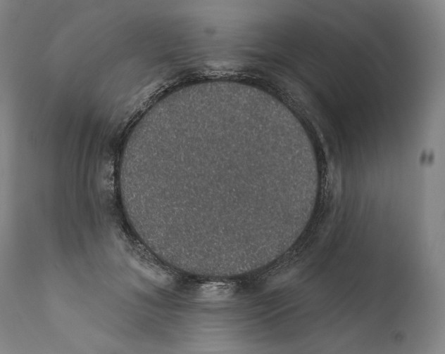 X0000110760700200907131210