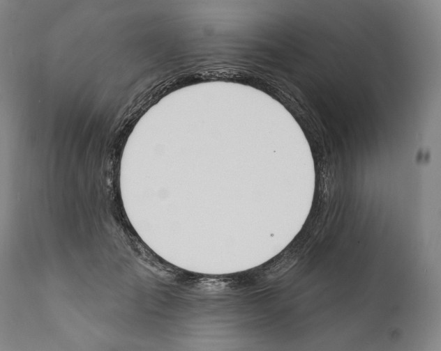 X0000110760701200907131210