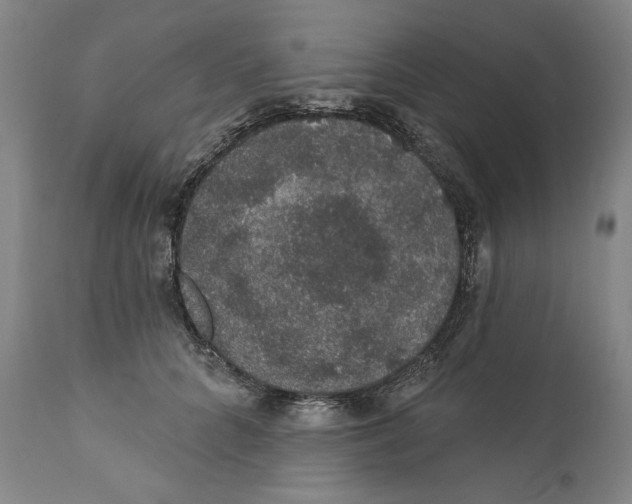 X0000110760704200907131210