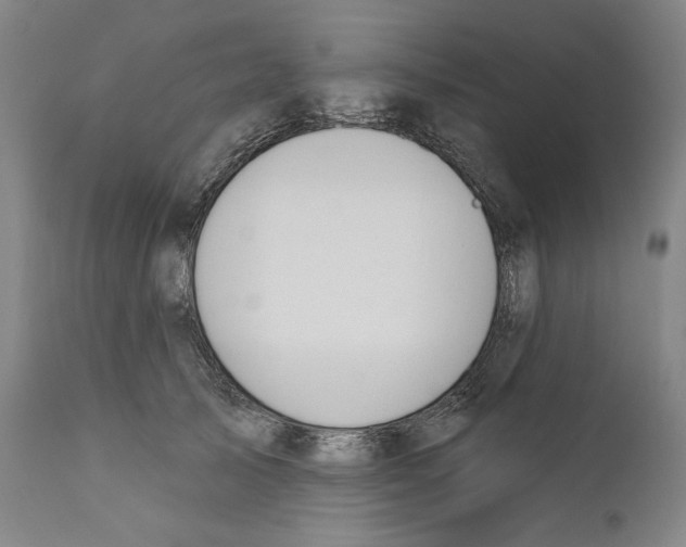 X0000110760705200907131210