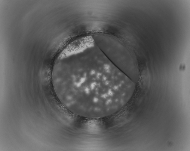 X0000110760708200907131210