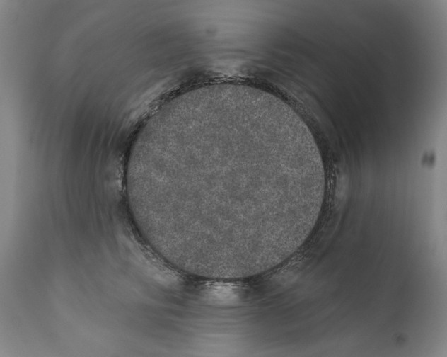 X0000110760710200907131210