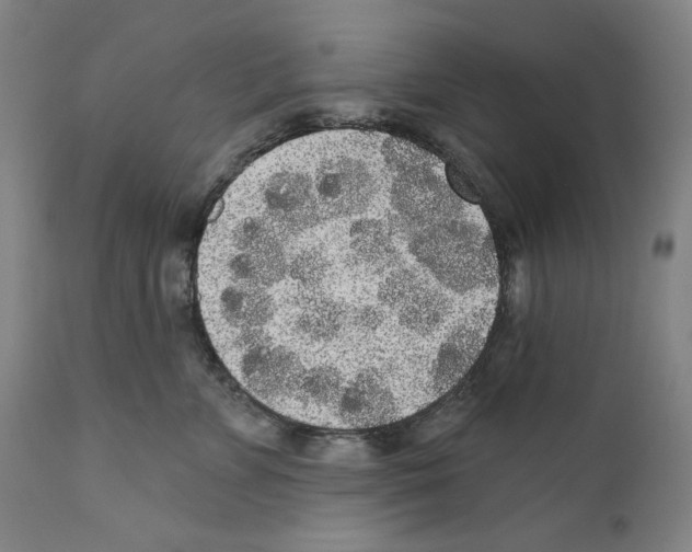 X0000110760715200907131210