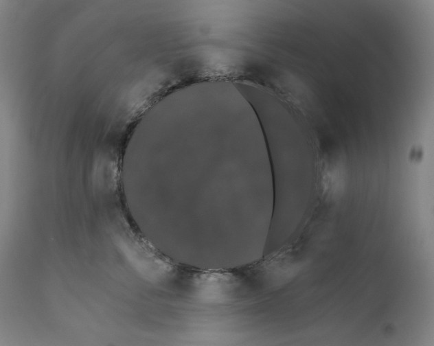 X0000110760716200907131210