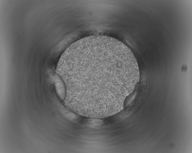 X0000110760719200907131210